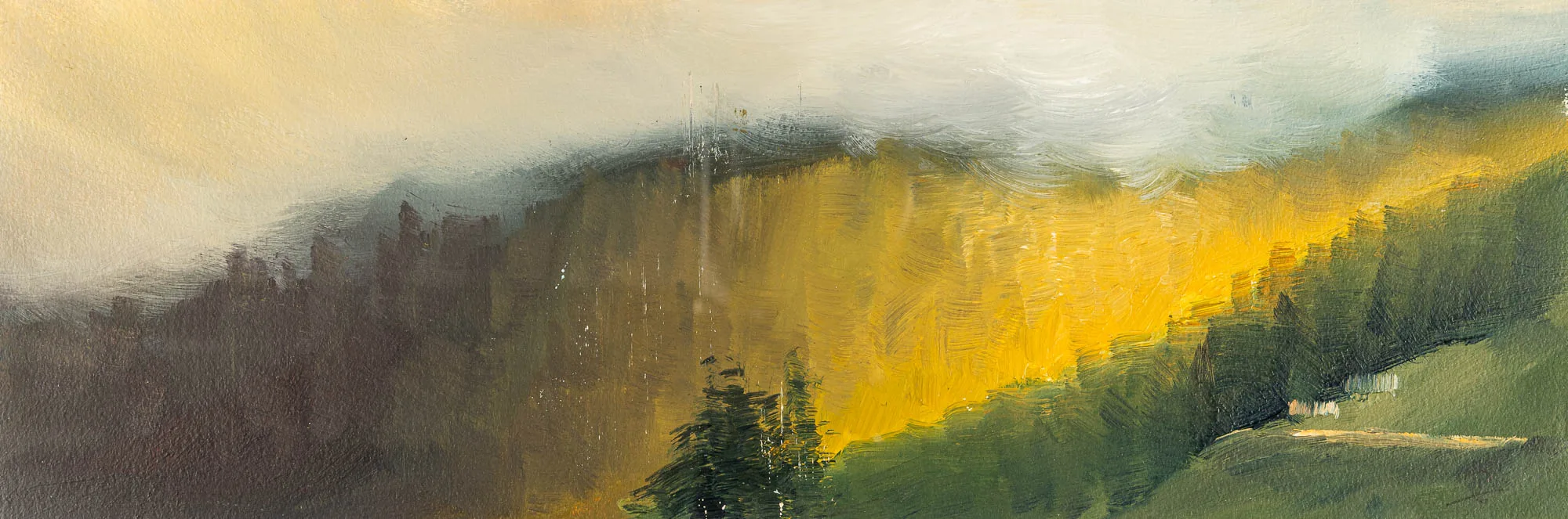 Echoes In The Mist, an original oil on paper painting by Paul Kenton: a wide, misty hillside where golden sunlight breaks through soft grey fog onto dark forest, with dense green trees in the lower right.