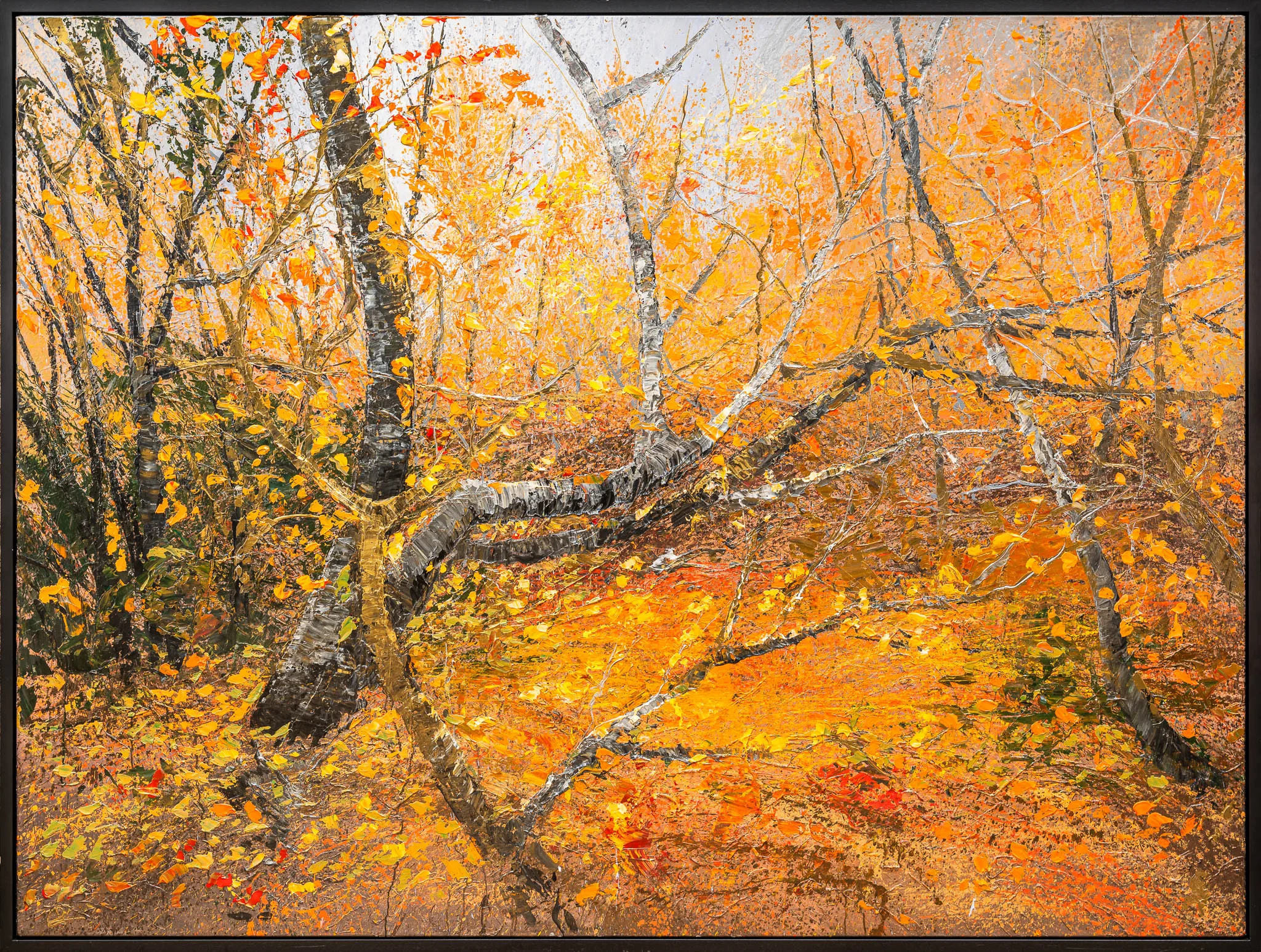 Autumn Leaves, an original painting by Paul Kenton in a black floating frame: a birch woodland in dense oranges and golds, with pale bare trunks leaning across textured ground and fallen leaves.