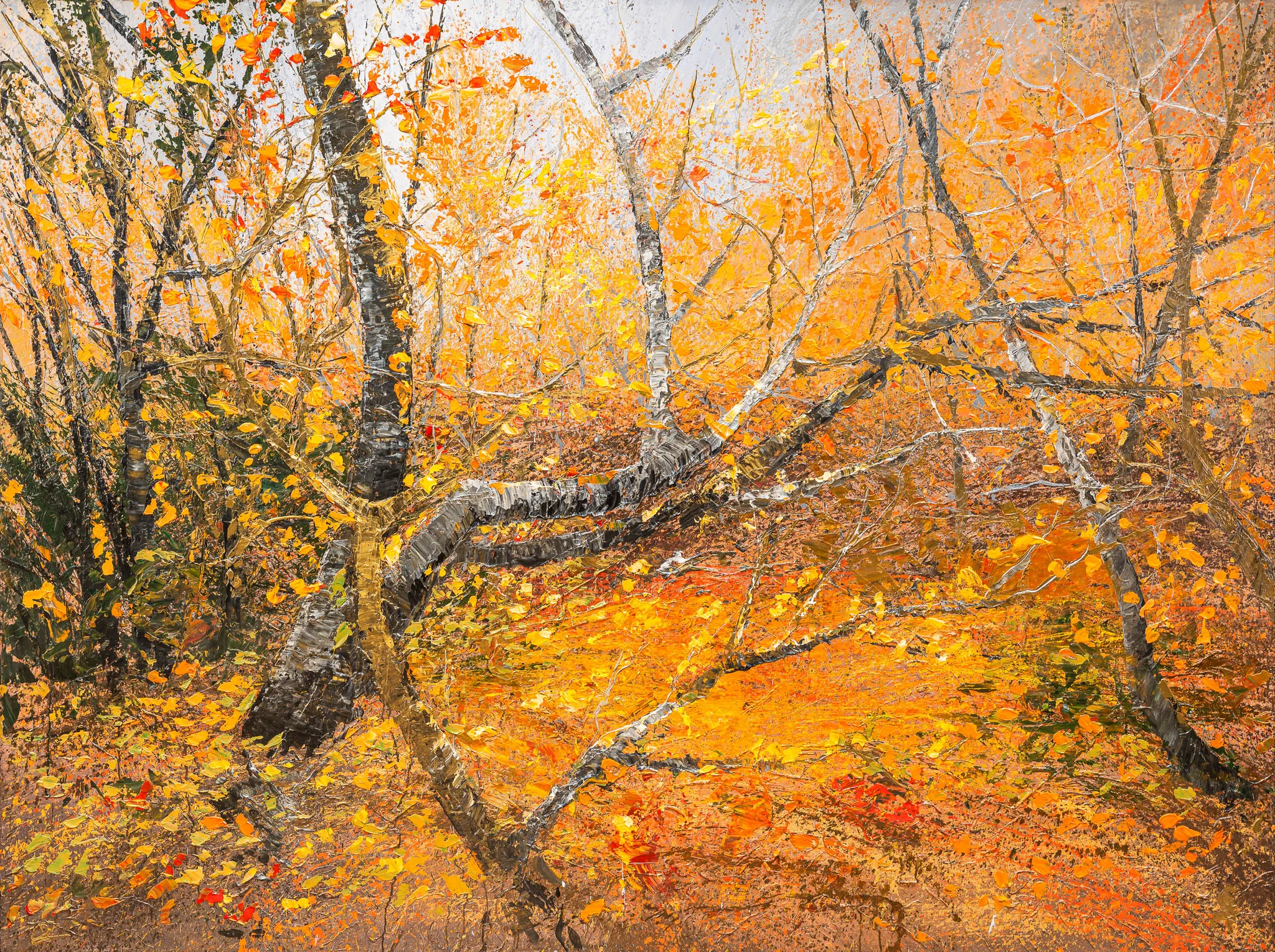 Autumn Leaves, an original painting by Paul Kenton: birch trunks lean across a woodland floor carpeted with glowing orange and gold leaves, under a pale sky, in warm, textured strokes.