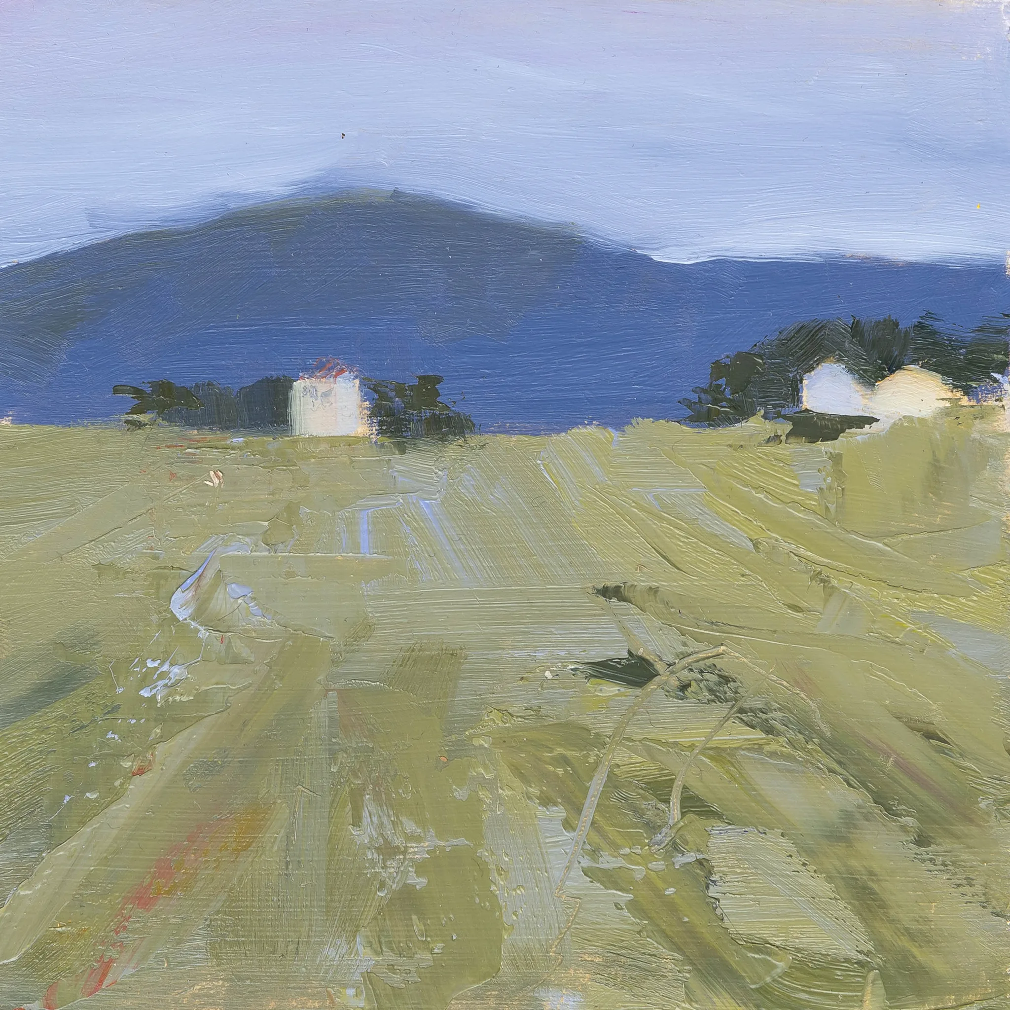 Close-up detail of Italian Escape, an original oil painting by Paul Kenton, showing thick, textured strokes of olive-gold field beneath a soft blue mountain and pale sky.