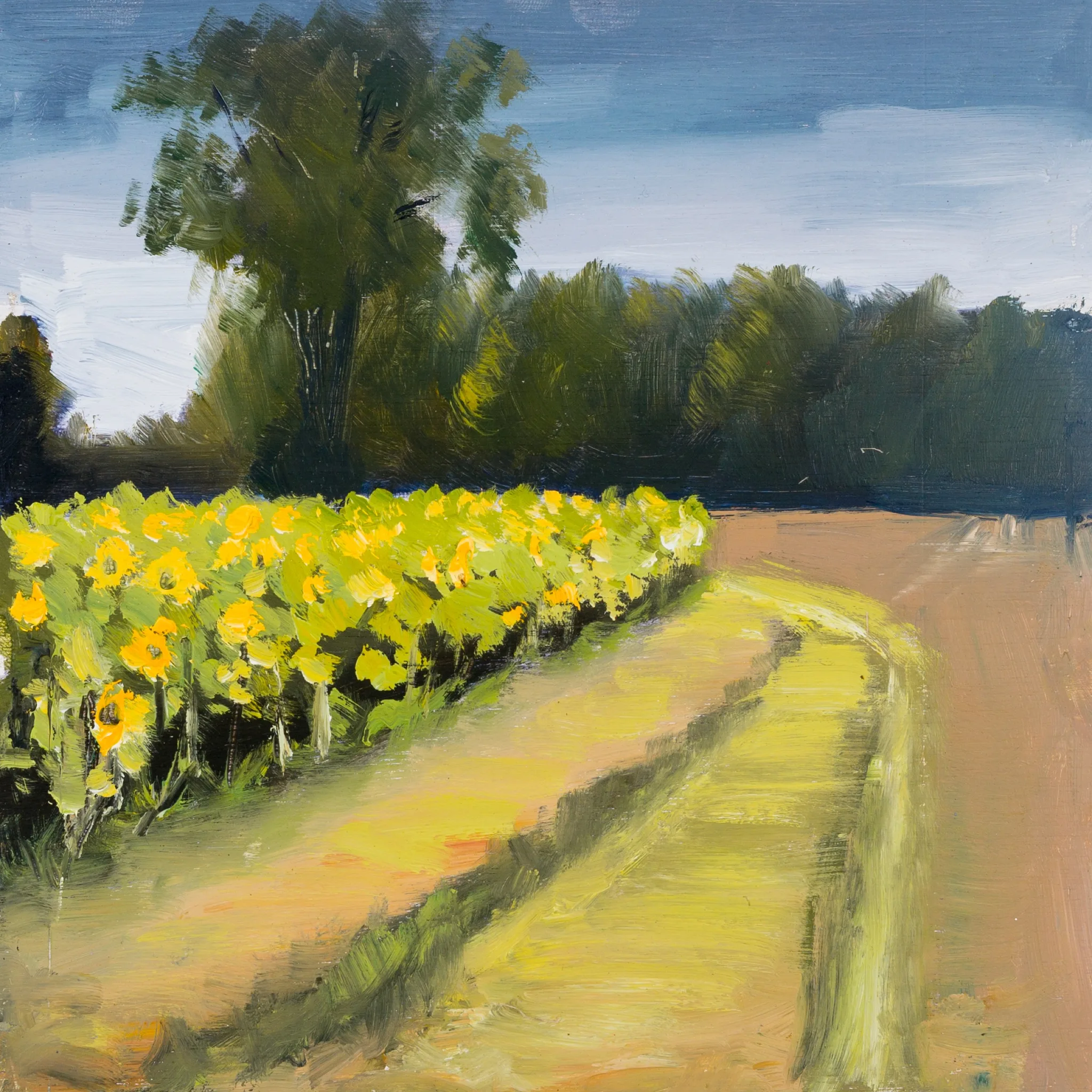 An Artists Paradise by Paul Kenton