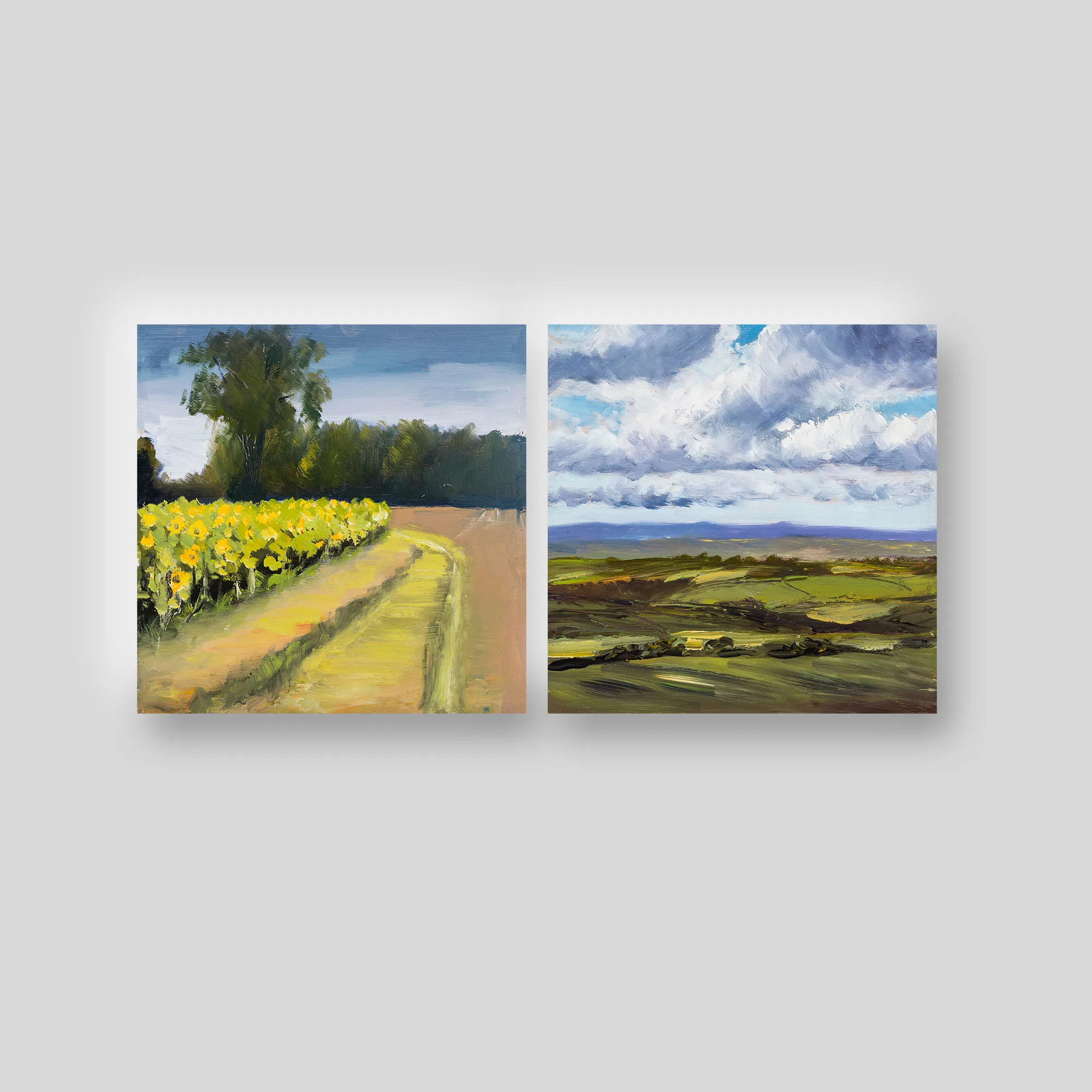 Landscape Oils, a print collection set by Paul Kenton: two square landscapes, one of a sunflower field beside a dusty farm track under trees, the other of rolling green fields beneath a big cloudy sky.